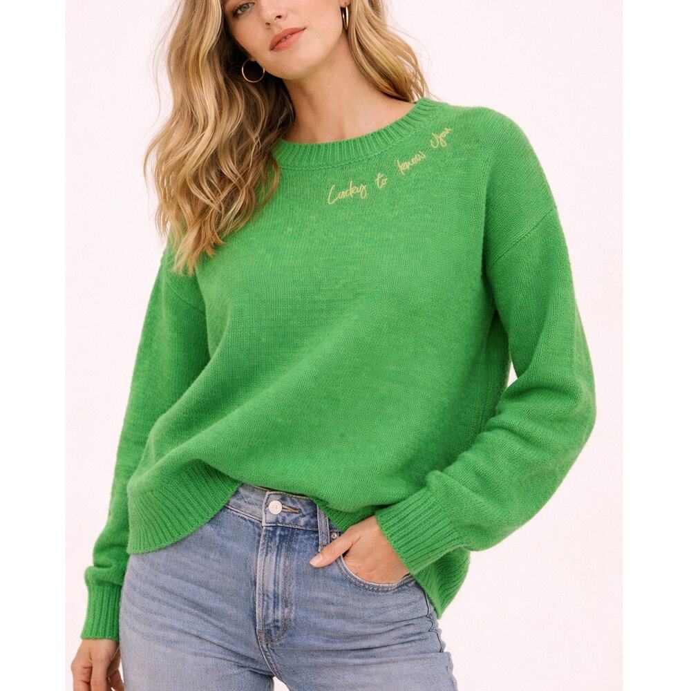 Crayola x Kohl’s Heather Green Knit Sweater Lucky to Know You Crewneck Med NWOT
